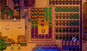 Stardew Valley player walking through garden