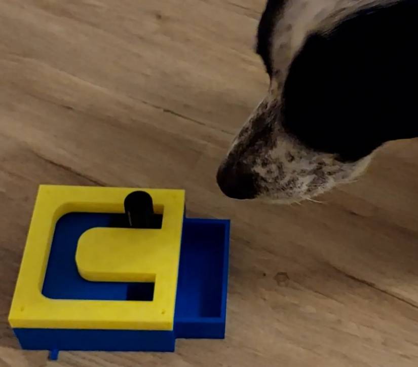 pet maze 3D printed toy