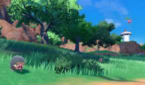 pokemon scarlet grass
