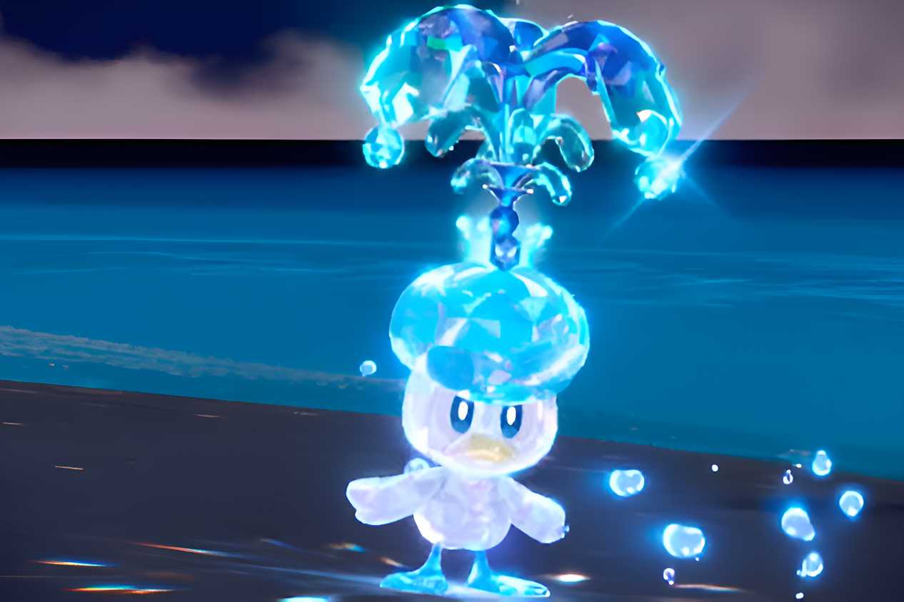 An image from the game Pokemon Scarlet and Violet, showing Quaxly the pokemon.