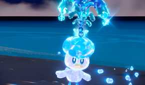 An image from the game Pokemon Scarlet and Violet, showing Quaxly the pokemon.