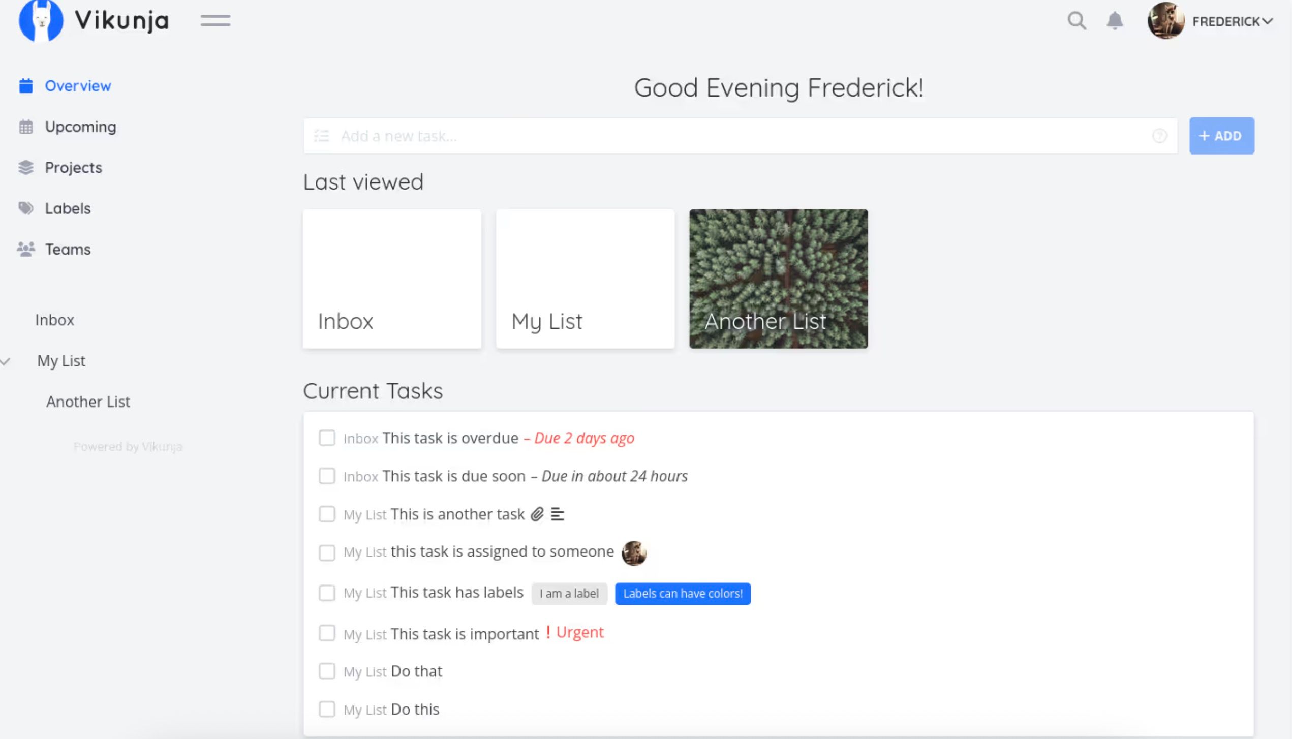 Vikunja task management