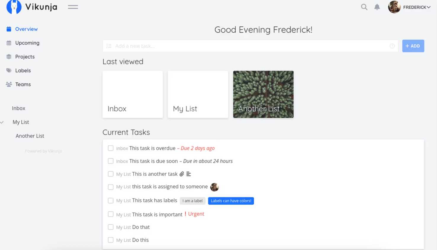 Vikunja task management