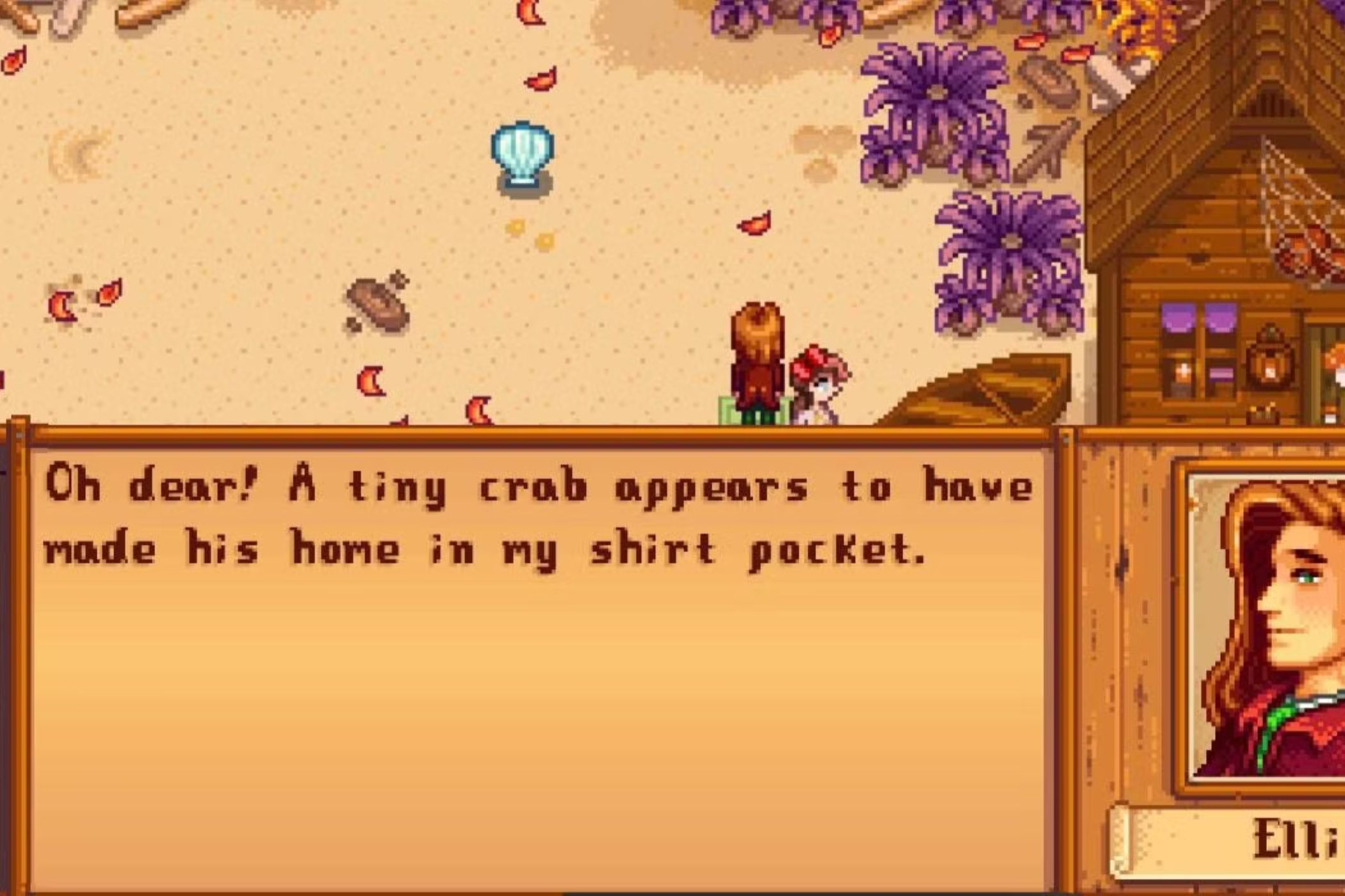 Stardew Valley Elliott on Beach