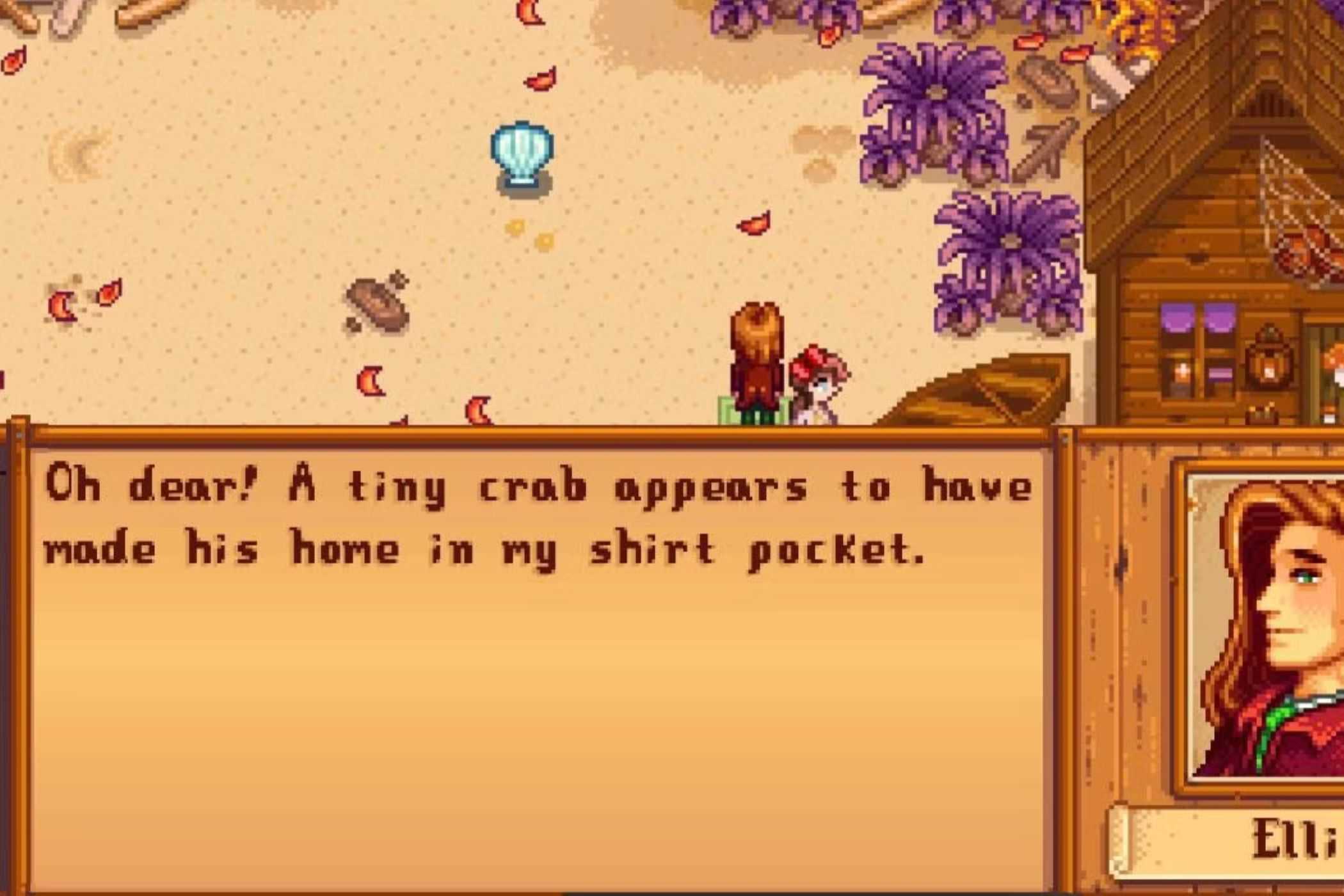 Stardew Valley Elliott on Beach
