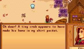 Stardew Valley Elliott on Beach