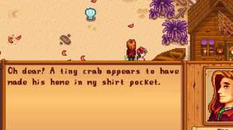 Stardew Valley Elliott on Beach