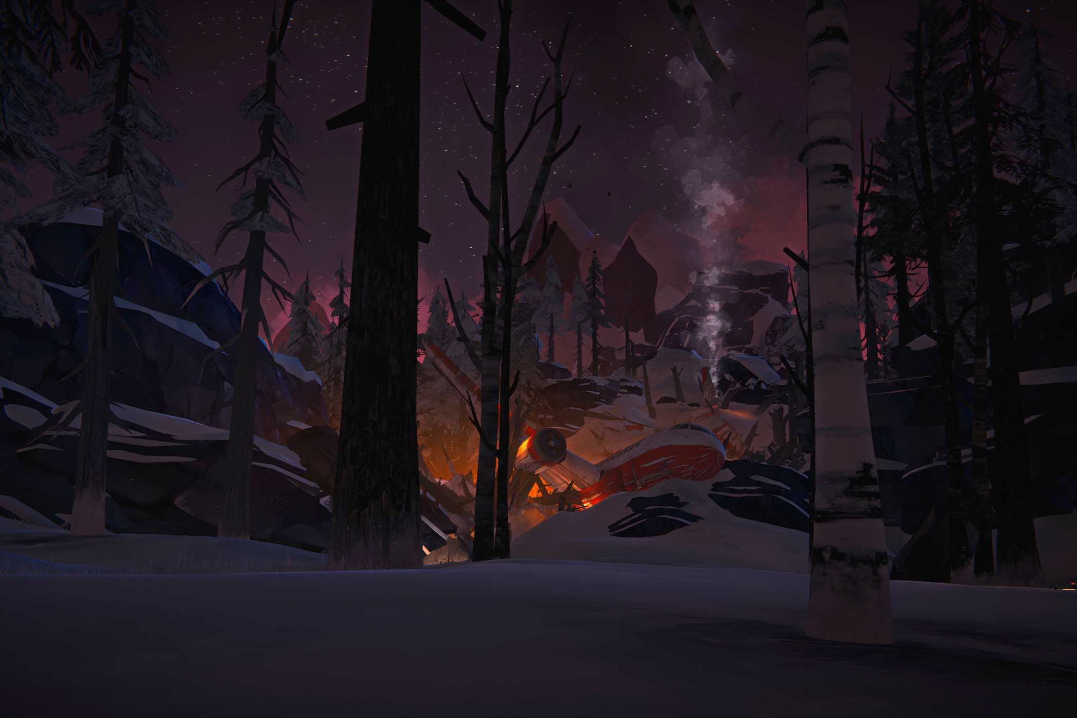 A screenshot from the game "The Long Dark", showing a plane crashed and burning at night.