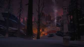 A screenshot from the game "The Long Dark", showing a plane crashed and burning at night.