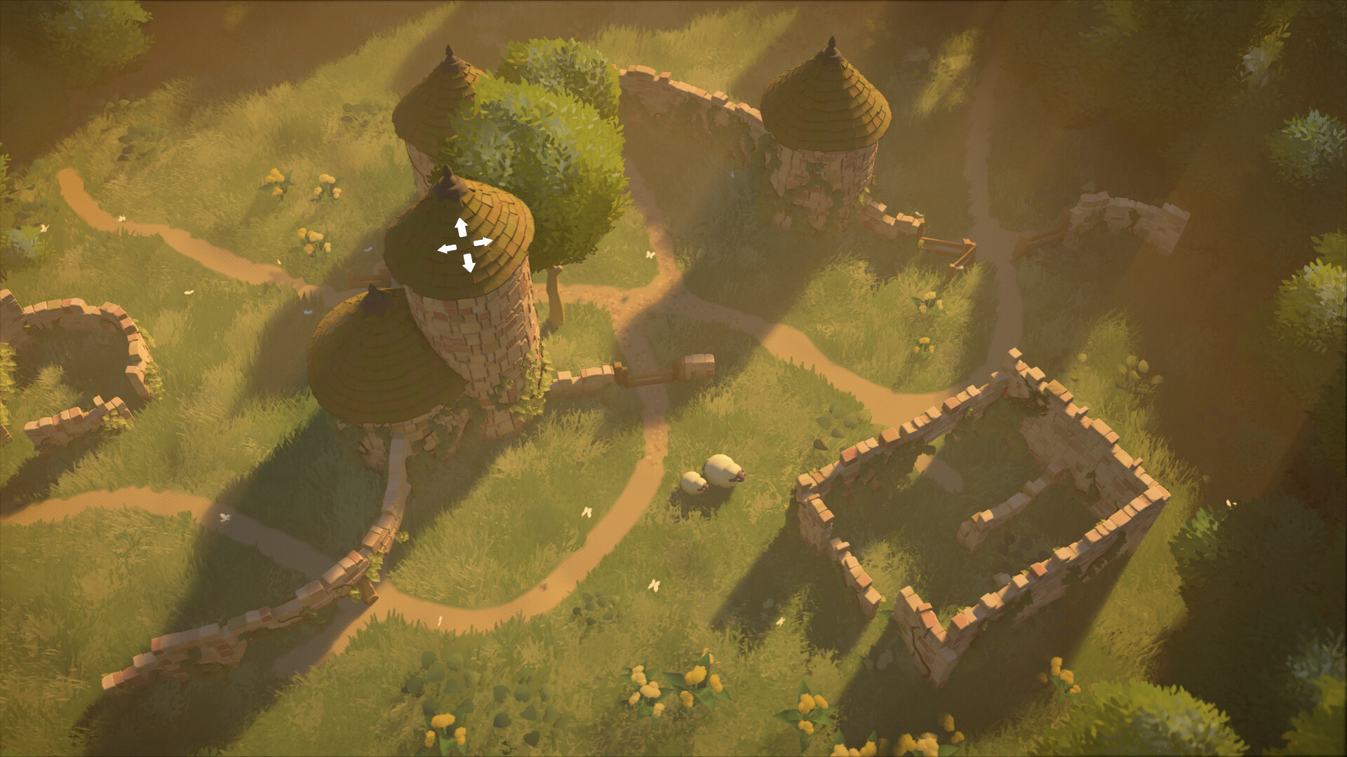 A top view of a village ruin