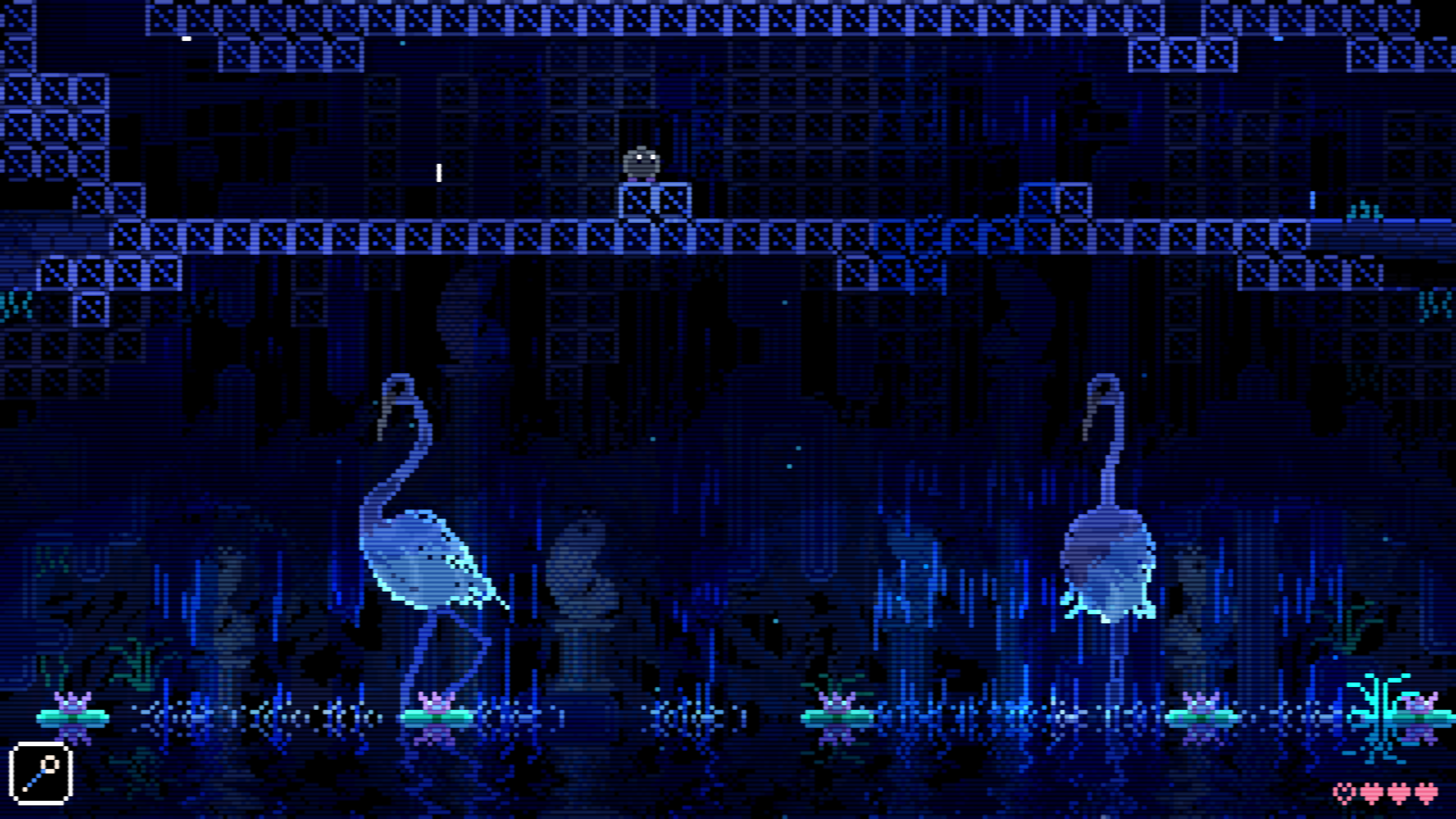 Two herons in the rain underneath the player ball.