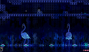 Two herons in the rain underneath the player ball.