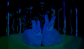 Two blue bunnies looking at the camera.