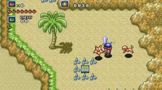 CrusadersOfCenty_5RareSEGAGenesisGames_Pic04