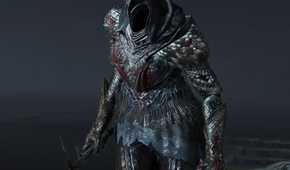 Elden Ring Black Knife Assassin closeup shot