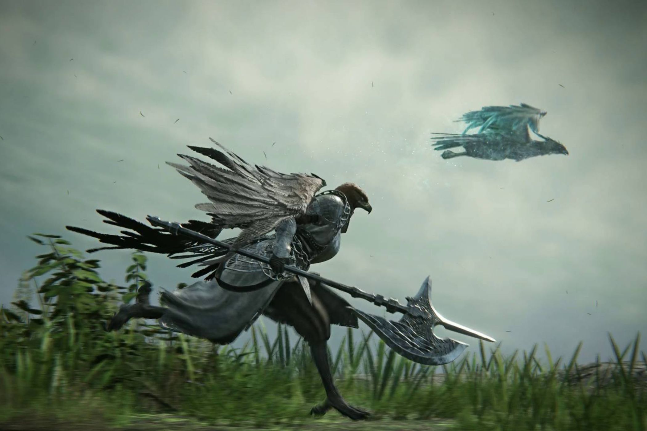 Elden Ring Nightreign Guardian running alongside bird.