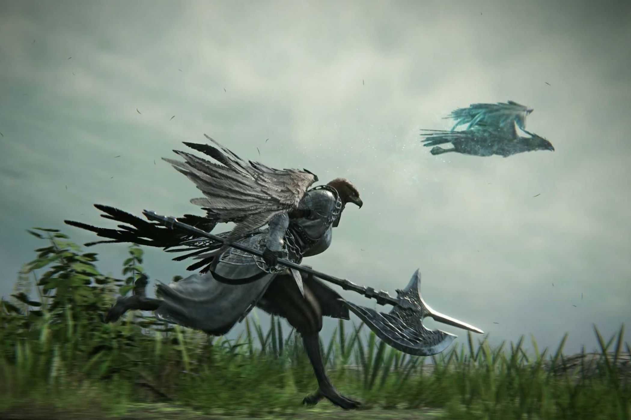 Elden Ring Nightreign Guardian running alongside bird.