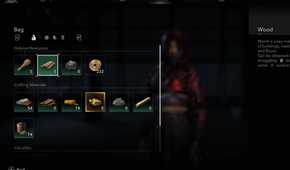 Assassin's Creed Shadows Naoe inventory menu