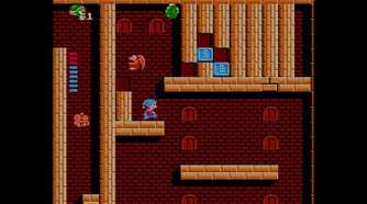 Milon's Secret Castle brick level