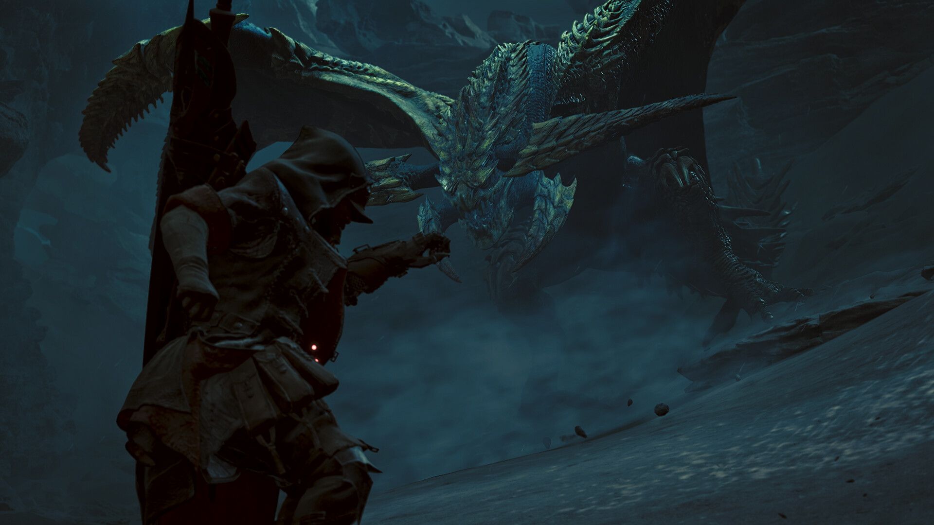 Monster Hunter Wilds hunter fighting Rey Dau