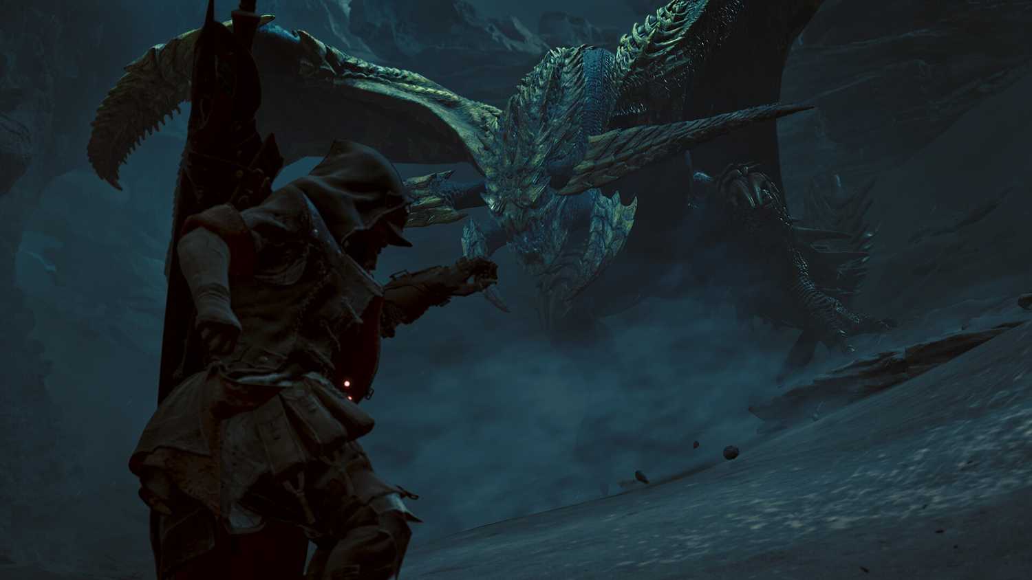 Monster Hunter Wilds hunter fighting Rey Dau