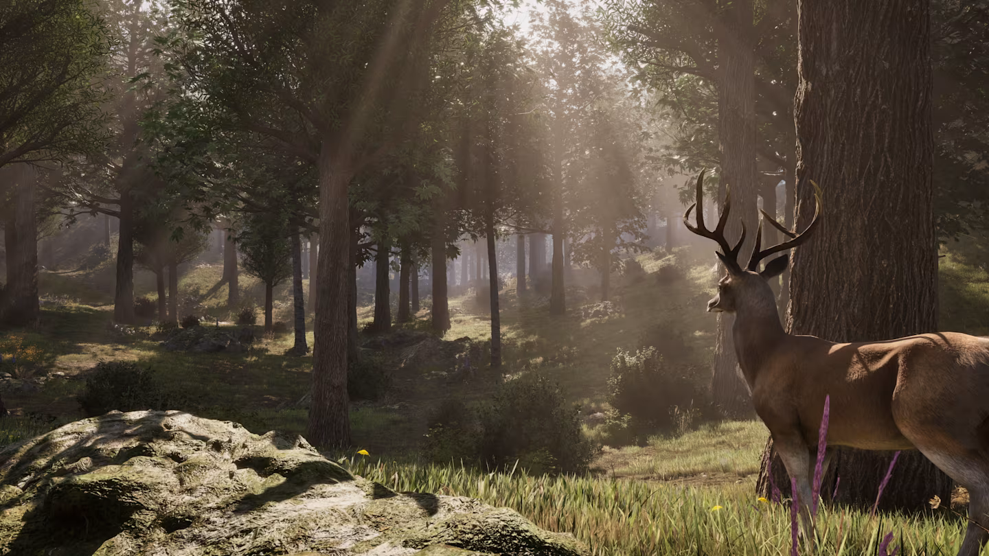 A deer overlooking a sunny forest.