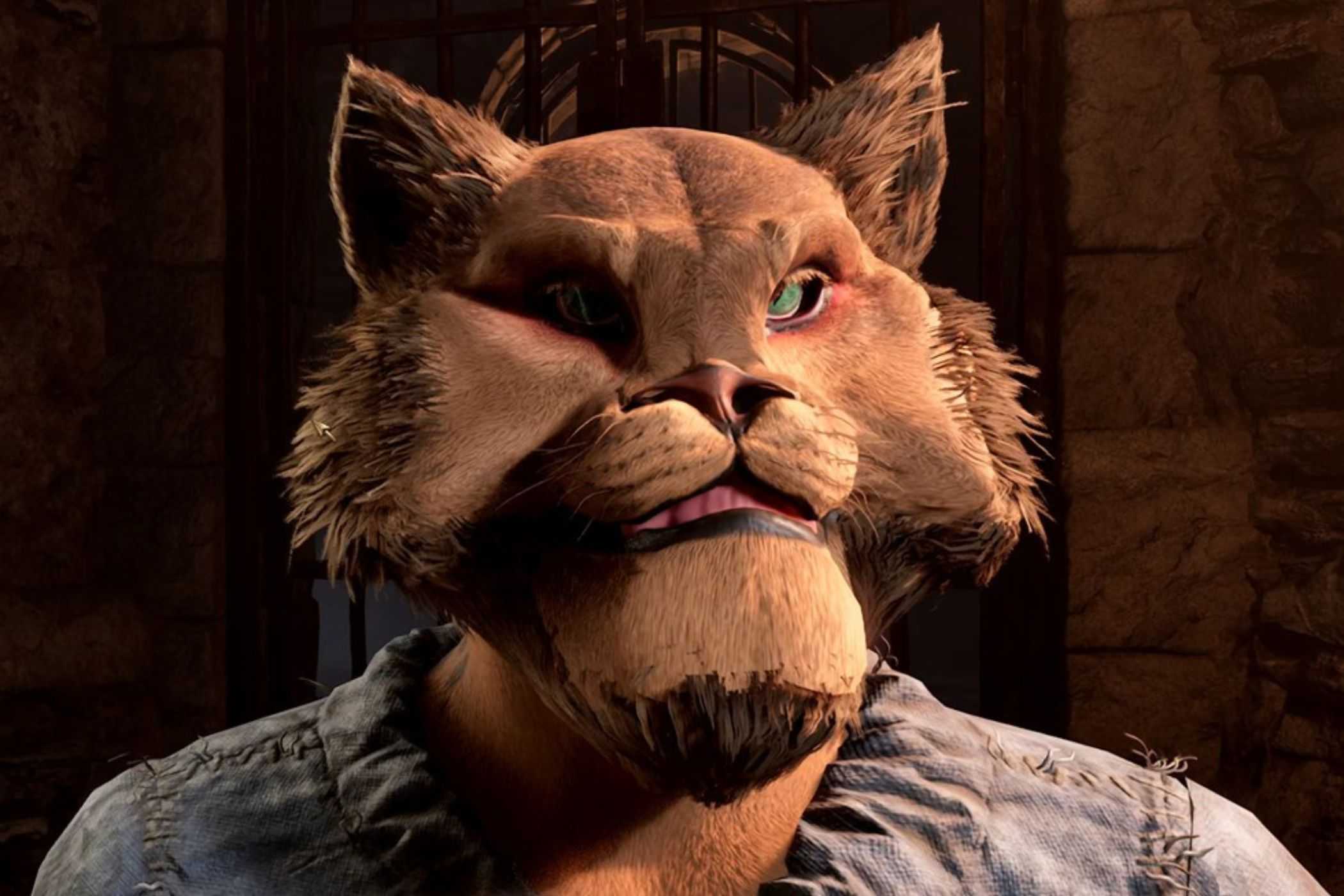 Oblivion Remastered cat race with messed up face