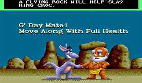 OutbackJoey_5RareSEGAGenesisGames_Pic02