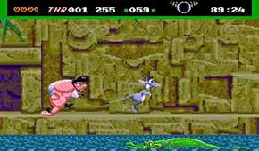 OutbackJoey_5RareSEGAGenesisGames_Pic03