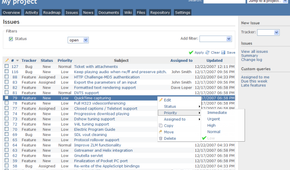 screenshot of redmine project management software