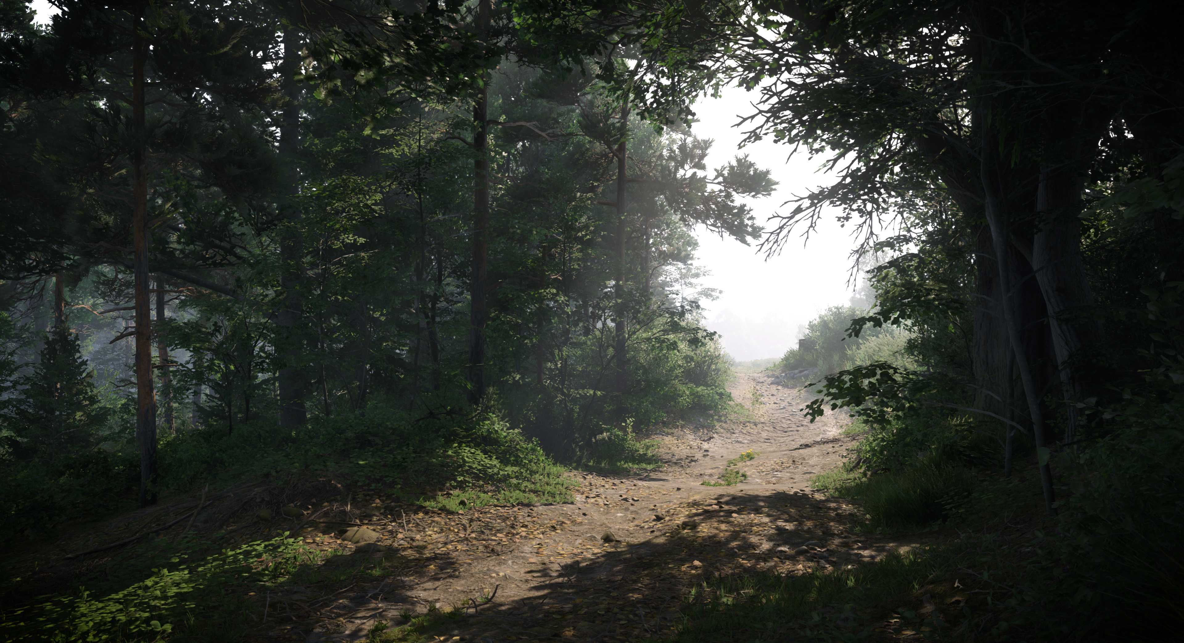 KC_II road in forest