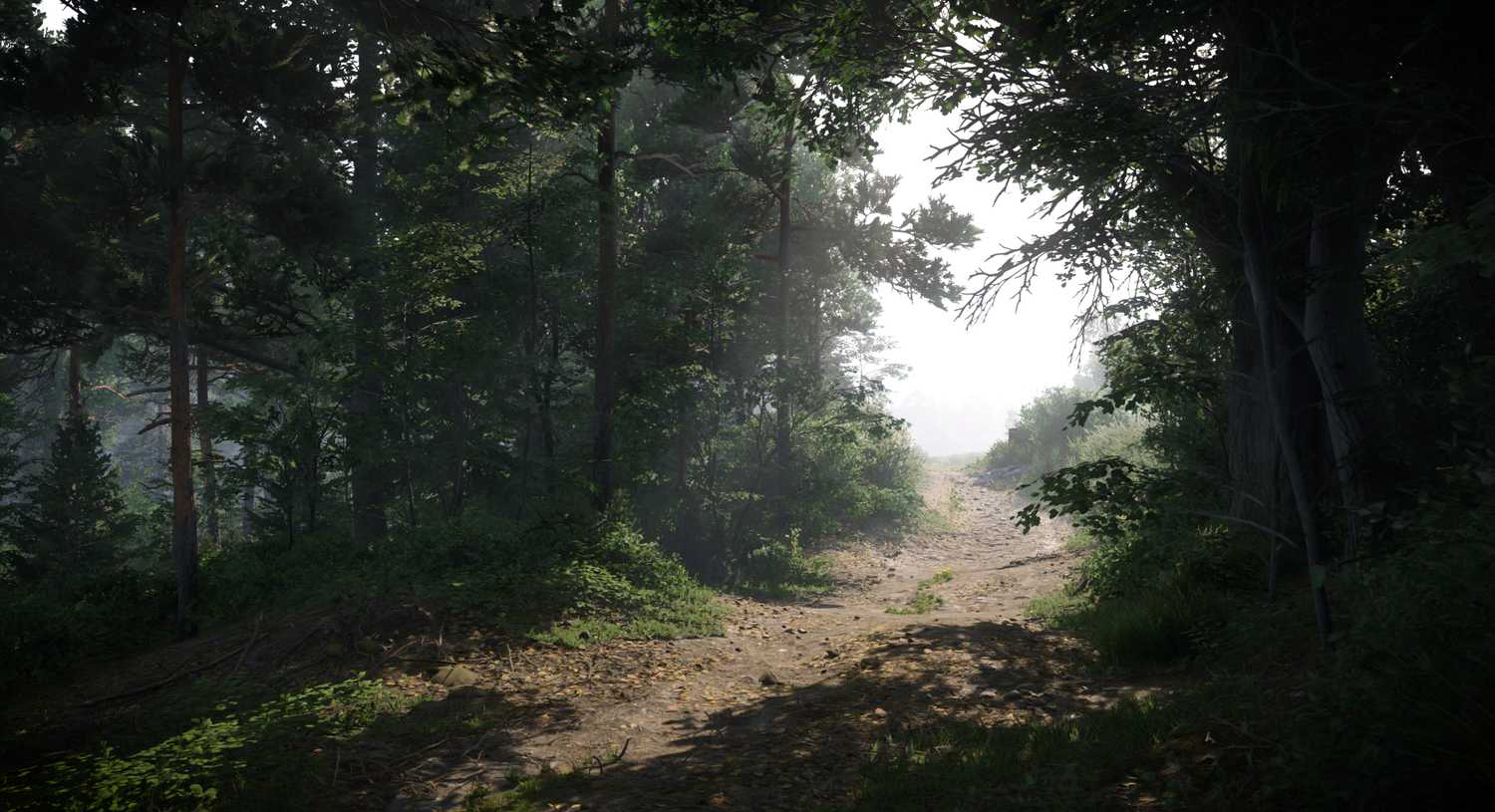 KC_II road in forest