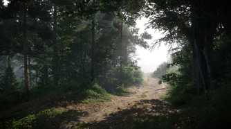 KC_II road in forest