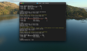 A screenshot of Taskwarrior on macOS
