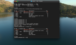 A screenshot of Taskwarrior on macOS
