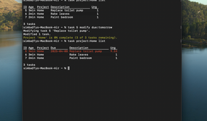 A screenshot of Taskwarrior on macOS