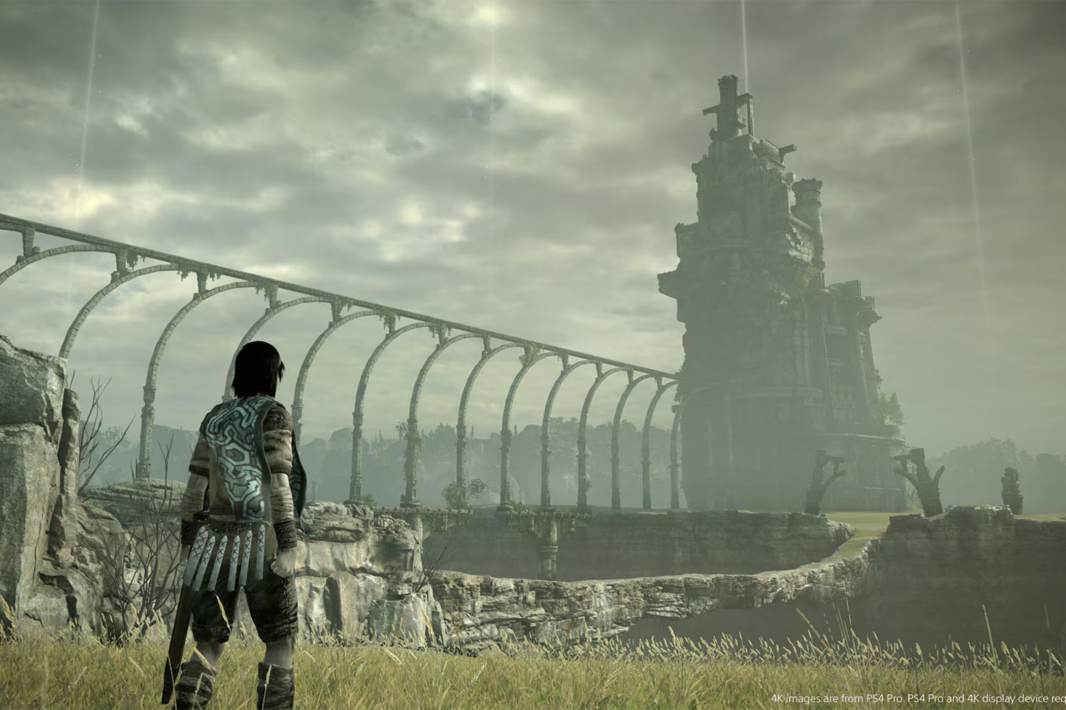 Wander in Shadow of the Colossus