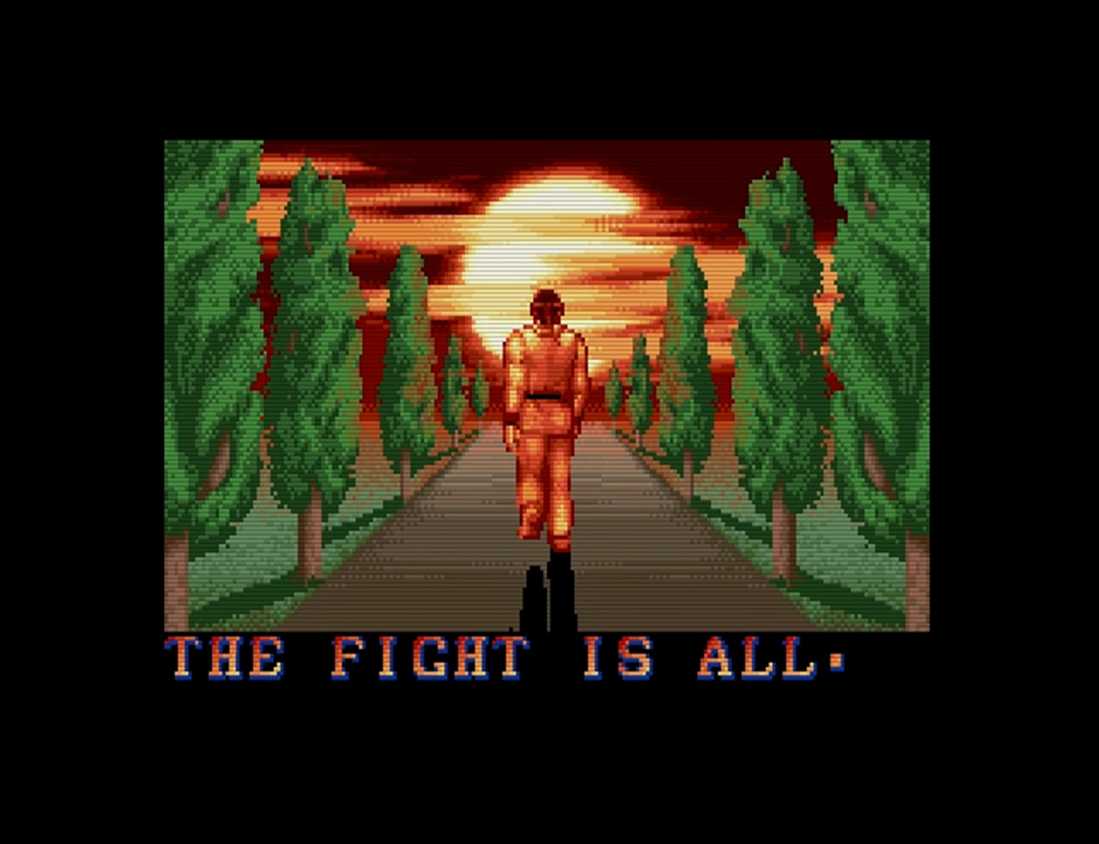 A screenshot of gameplay of Street Fighter 2 The World Warrior