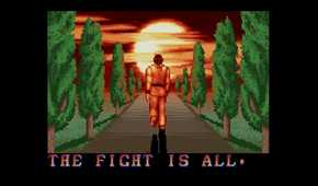 A screenshot of gameplay of Street Fighter 2 The World Warrior