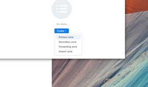 Synology DNS server DNS zones