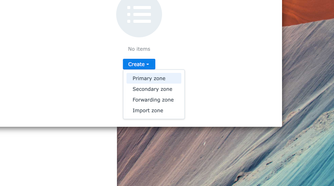 Synology DNS server DNS zones