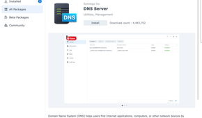 Synology DNS server package