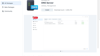 Synology DNS server package