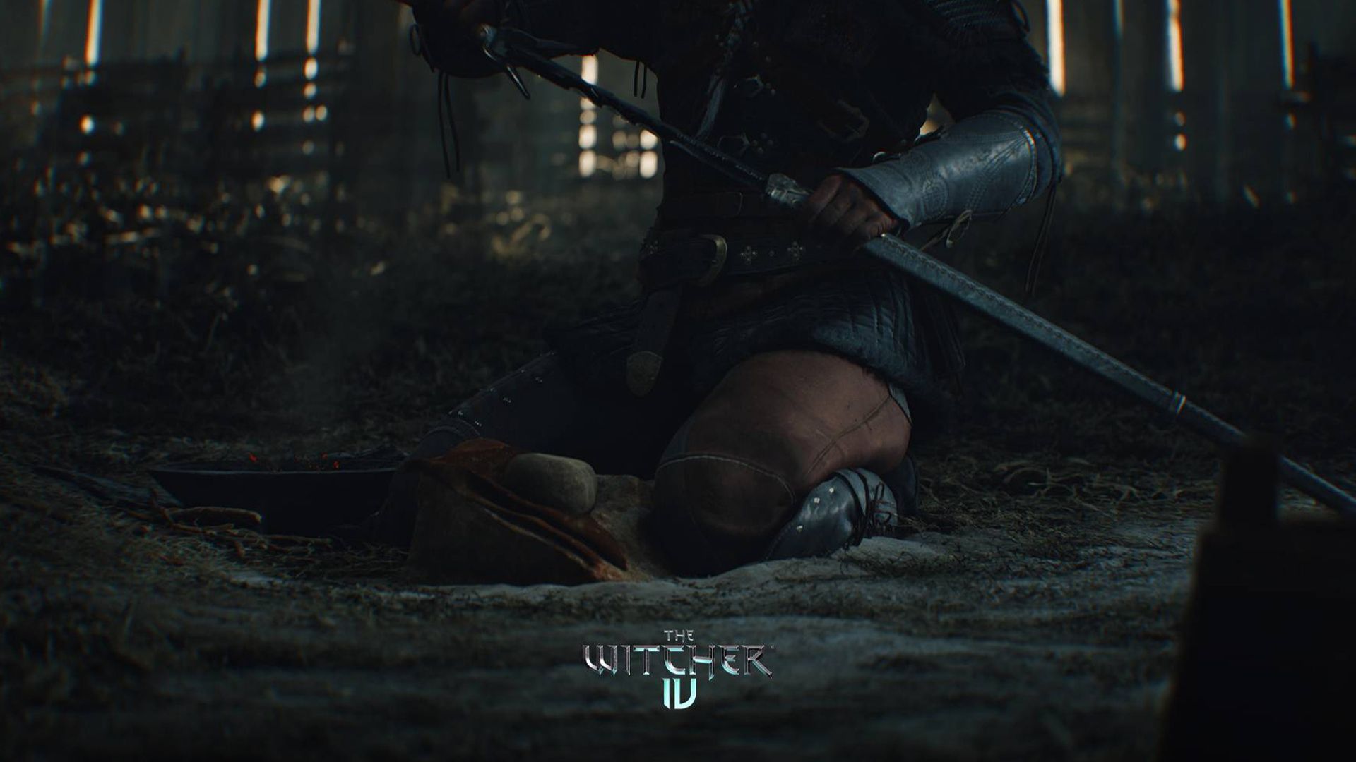 The Witcher 4 Wallpaper 5