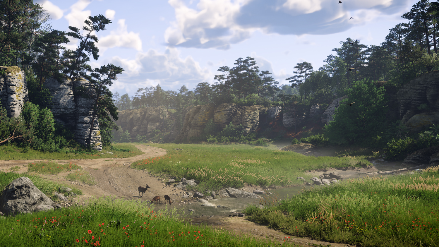 KC_II landscape shot of valley