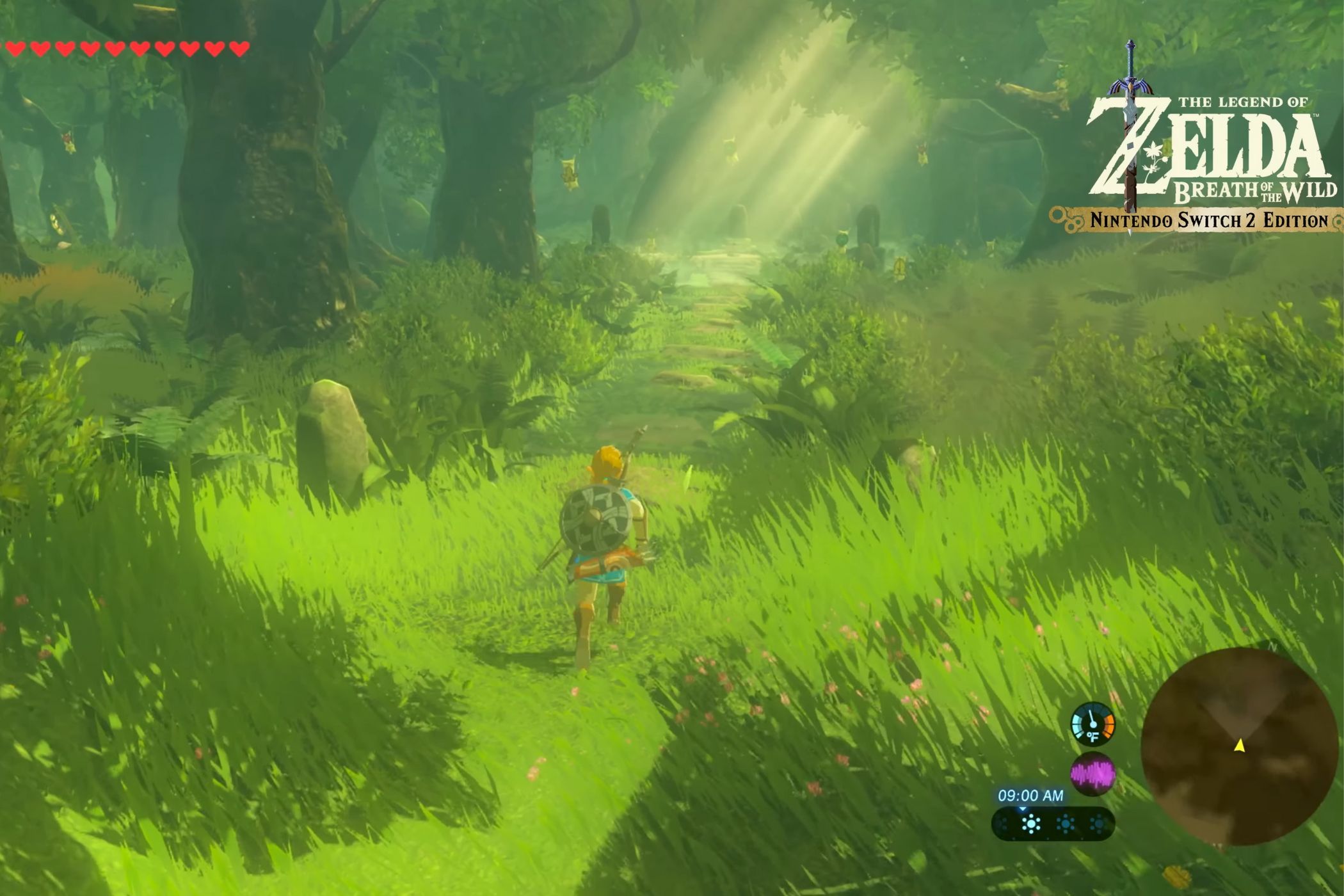 Zelda: Breath of the Wild Nintendo Switch 2 Screenshot Link in a forest