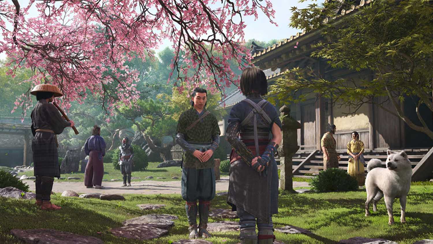 Assassin's Creed Shadows Characters standing under a cherry blossom