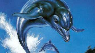 Ecco-The-Dolphin-Sega-2