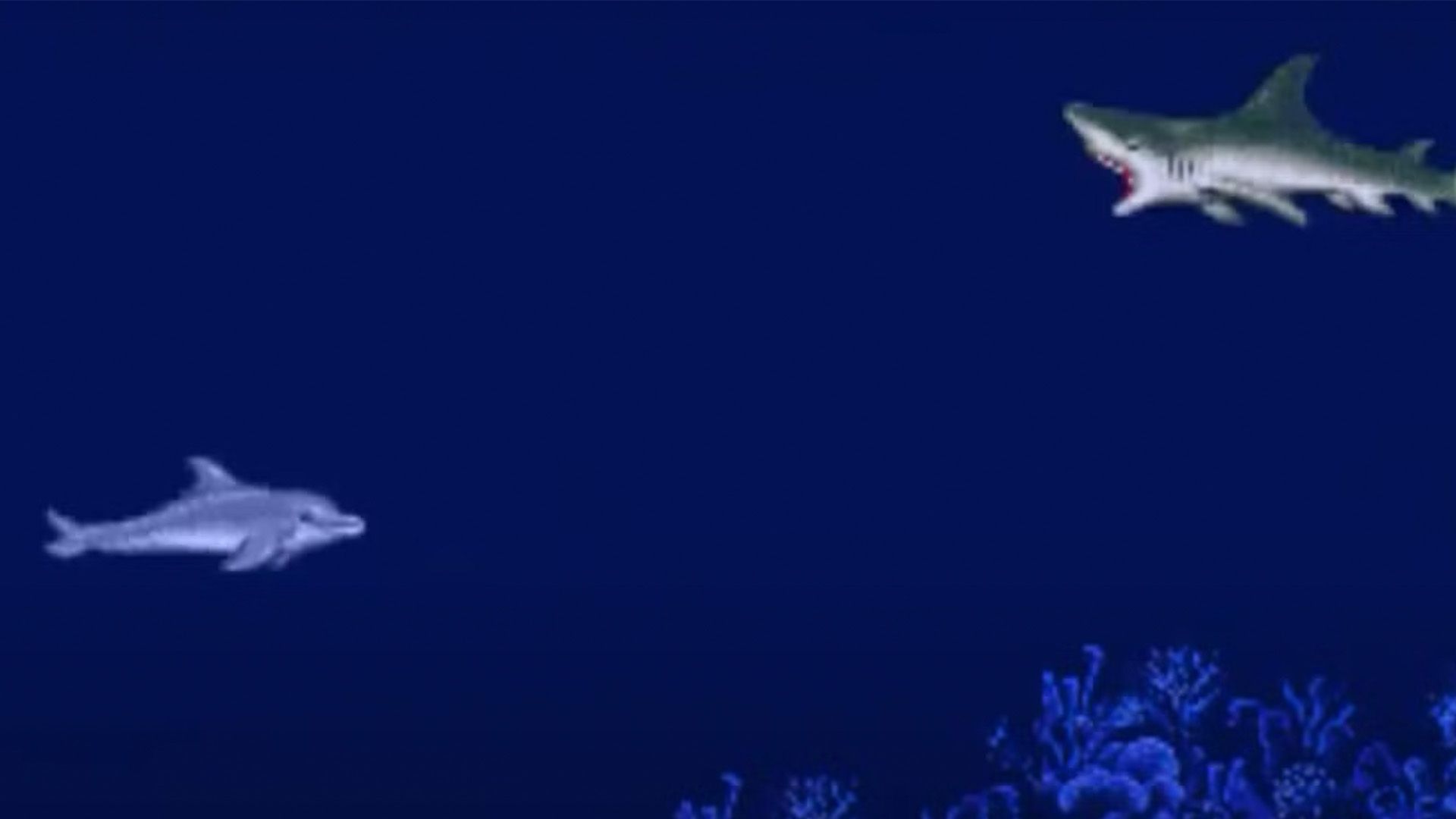 Ecco-The-Dolphin-Sega-3