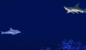 Ecco-The-Dolphin-Sega-3